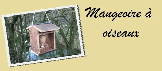 Booton oiseau